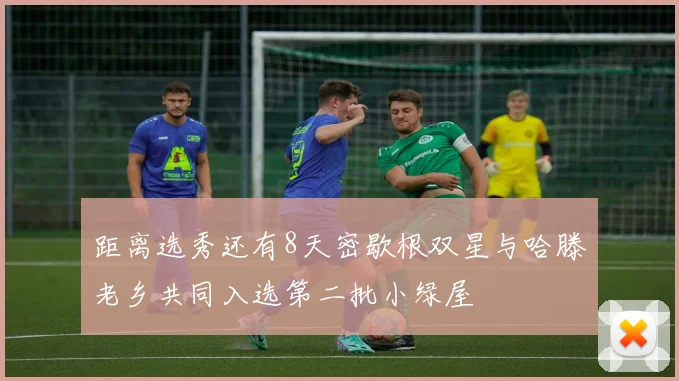 距离选秀还有8天密歇根双星与哈滕老乡共同入选第二批小绿屋