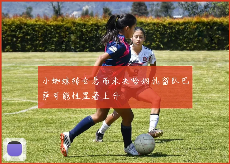 小蜘蛛转会悬而未决哈姆扎留队巴萨可能性显著上升