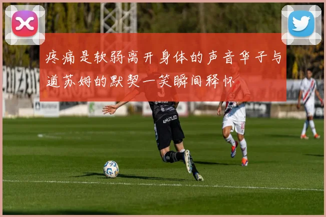 疼痛是软弱离开身体的声音华子与道苏姆的默契一笑瞬间释怀