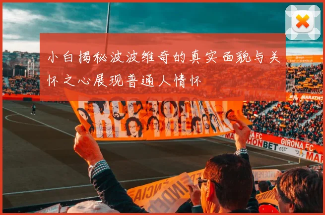 小白揭秘波波维奇的真实面貌与关怀之心展现普通人情怀
